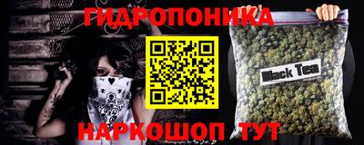 дмт Шелехов