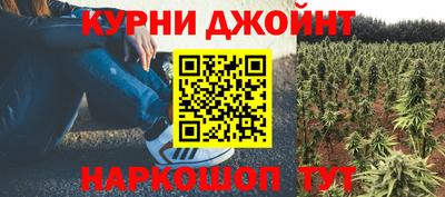 дмт Шелехов