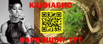 индика Шахты