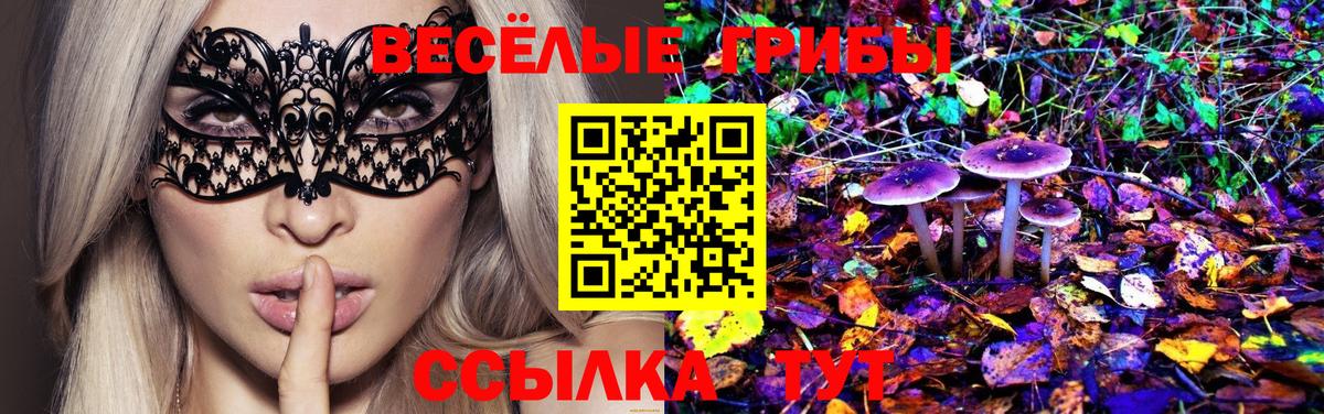 Бузулук  Галлюциногенные грибы прущие грибы  Вход с VPN 