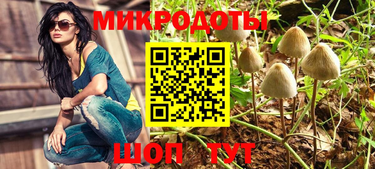 Псилоцибиновые грибы Psilocybine cubensis Бузулук